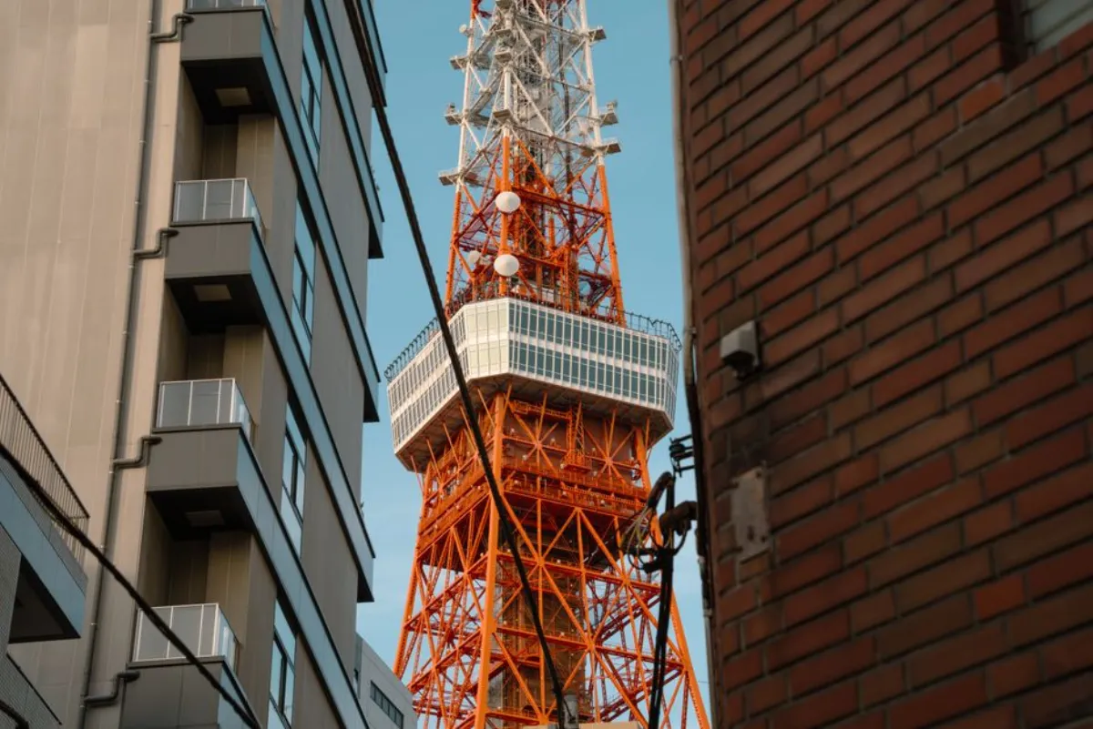 免费观看日本电视直播推荐